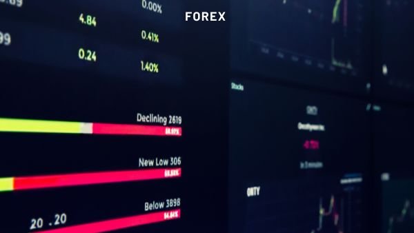 Understanding Forex Market Instruments